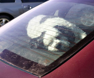 Groundbreaking new law