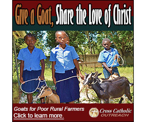 Cross International