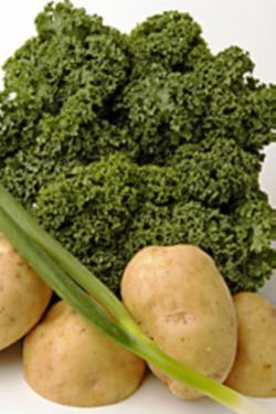 COLCANNON DELIGHT - Everyone thinks of corned beef and cabbage on St. Patrick's Day, but this unique Irish dish made with potatoes and kale can become the hit of the meal. COLCANNON DELIGHT - Everyone thinks of corned beef and cabbage on St. Patrick's Day, but this unique Irish dish made with potatoes and kale can become the hit of the meal.