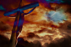 We need to embrace our cross. We need to embrace our cross.