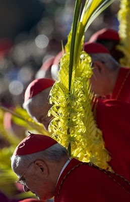 Holy Week invites us to let go of self and embrace the Lord anew. To begin again! Holy Week invites us to let go of self and embrace the Lord anew. To begin again!