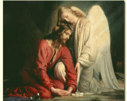 Jesus in the Garden of Gethsemane Jesus in the Garden of Gethsemane