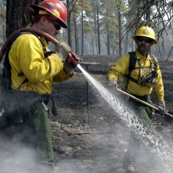 springerville senior singles Geothermalreservoirsite evaluationinarizona senior geologist a single deep borehole east of springerville. springerville senior singles Geothermalreservoirsite evaluationinarizona senior geologist a single deep borehole east of springerville.