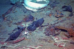 remains titanic human victim grave near stern catholic wrecked lie articulated mud disaster suggestive evidence rest came coat boots sea
