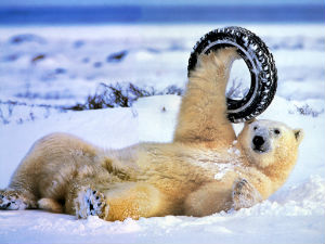 Admittedly, the global warming debate can get a little tiring at times. Admittedly, the global warming debate can get a little tiring at times.