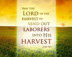 harvest luke laborers few lord into send abundant catholic bible ripe pray eyes needed homily faith them oct st ministry