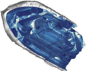 The zircon study has helped portray how the Earth's crust formed during the first geologic eon of the planet. The fragment could also help shed light on how other habitable planets would form. The zircon study has helped portray how the Earth's crust formed during the first geologic eon of the planet. The fragment could also help shed light on how other habitable planets would form.