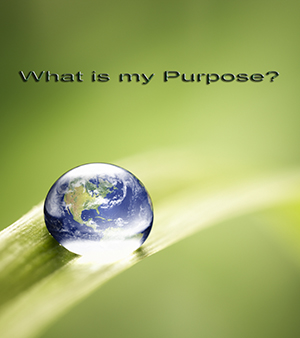What is my purpose on this earth? What is my purpose on this earth?