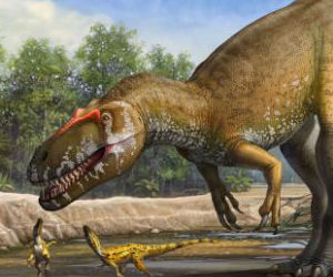 An imposing thunder lizard, the torvosaurus gurneyi was bipedal, weighed 2.5 to 3.6 tons. An imposing thunder lizard, the torvosaurus gurneyi was bipedal, weighed 2.5 to 3.6 tons.
