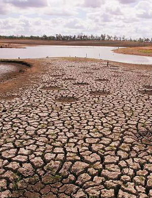 Helen Berry says that the Earth is warming so rapidly that unless humans can arrest the trend, we risk becoming 'extinct' as a species. Helen Berry says that the Earth is warming so rapidly that unless humans can arrest the trend, we risk becoming 'extinct' as a species.