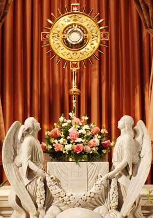 Jesus waits for us in this sacrament of love. Jesus waits for us in this sacrament of love.