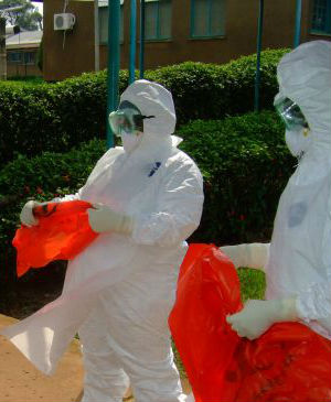 Using analysis of blood samples from infected patients, researchers determined that while the Guinean form of the Ebola virus (EBOV) showed a 97 percent similarity to the Zaire strain, the disease was not introduced from Central Africa. Using analysis of blood samples from infected patients, researchers determined that while the Guinean form of the Ebola virus (EBOV) showed a 97 percent similarity to the Zaire strain, the disease was not introduced from Central Africa.