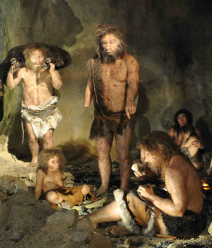 New evidence proves that Neanderthals made effective tools and weapons, wore ornaments such as eagle claws, used ochre and pitch, ate plants and fish as well as big game and created organized living spaces in their caves - all of this happening before the arrival of modern humans. New evidence proves that Neanderthals made effective tools and weapons, wore ornaments such as eagle claws, used ochre and pitch, ate plants and fish as well as big game and created organized living spaces in their caves - all of this happening before the arrival of modern humans.