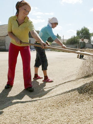 The troubled nation of Ukraine, the breadbasket of Eastern Europe, posted the largest domestic price increases for wheat and maize. The troubled nation of Ukraine, the breadbasket of Eastern Europe, posted the largest domestic price increases for wheat and maize.