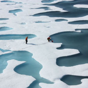 The ponds are darker than bare ice and therefore absorb more of the Sun's energy, promoting further melting. The ponds are darker than bare ice and therefore absorb more of the Sun's energy, promoting further melting.