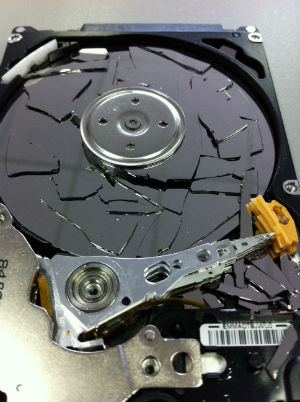 House Oversight and Government Reform Committee Chairman Darrell Issa of California had subpoenaed her damaged hard drive, when he asked for 'all hard drives, external drives, thumb drives and computers' and 'all electronic communication devices the IRS issued to Lois G. Lerner.' House Oversight and Government Reform Committee Chairman Darrell Issa of California had subpoenaed her damaged hard drive, when he asked for 'all hard drives, external drives, thumb drives and computers' and 'all electronic communication devices the IRS issued to Lois G. Lerner.'