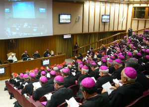 October's synod will feature extensive discussion of the pastoral mission of the Church. October's synod will feature extensive discussion of the pastoral mission of the Church.