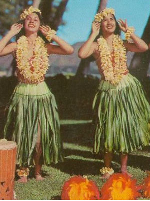 Many critics have said the federal government is pursuing the wrong path. They argue that the federal government's end goal is to incorrectly recognize Native Hawaiians as a Native American tribe. Many critics have said the federal government is pursuing the wrong path. They argue that the federal government's end goal is to incorrectly recognize Native Hawaiians as a Native American tribe.