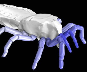 Comparing them to living arachnids, the researchers used an open source computer graphic program called 'Blender' to create the video showing the animals walking. Comparing them to living arachnids, the researchers used an open source computer graphic program called 'Blender' to create the video showing the animals walking.