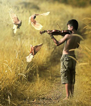 A moment in time where you feel and notice that, 'Yes, this is what life is about!' A moment in time where you feel and notice that, 'Yes, this is what life is about!'