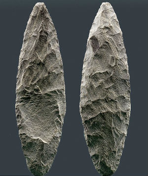 This flint tool, found with remains of a mastodon, suggests that humans are much older in North America than originally thought. This flint tool, found with remains of a mastodon, suggests that humans are much older in North America than originally thought.