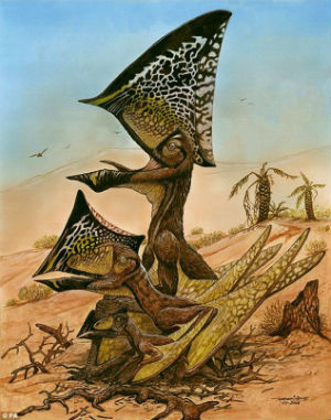 What separates the latest find from others of their species is that the pterosaur Caiuajara dobruskii had a large bony crest on the top of its head that changed from being small when it was young, to large and steep in adults. What separates the latest find from others of their species is that the pterosaur Caiuajara dobruskii had a large bony crest on the top of its head that changed from being small when it was young, to large and steep in adults.