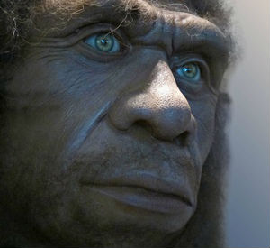 It was a given scientific belief that Neanderthals were inferior in intelligence to modern humans, which led to their demise. New evidence has proven that they cooperated with each other, took care of the sick and elderly, carried out elaborate burial rituals and used symbolic language and art to express ideas. It was a given scientific belief that Neanderthals were inferior in intelligence to modern humans, which led to their demise. New evidence has proven that they cooperated with each other, took care of the sick and elderly, carried out elaborate burial rituals and used symbolic language and art to express ideas.