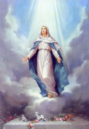 To say Our Lady's glory in Heaven is unimaginable, is an understatement. To say Our Lady's glory in Heaven is unimaginable, is an understatement.