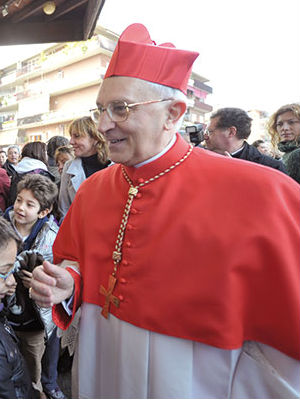 Speaking to Vatican Radio, Cardinal Filoni said that his assignment was 'a gesture that shows the pope's concern for the situation of these Christians who are suffering.' Speaking to Vatican Radio, Cardinal Filoni said that his assignment was 'a gesture that shows the pope's concern for the situation of these Christians who are suffering.'