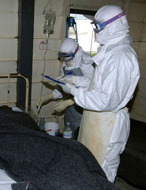 The strain of the Zaire virus currently circulating in the DRC is most closely related to one responsible for an outbreak in 1995 in the city of Kikwit. The strain of the Zaire virus currently circulating in the DRC is most closely related to one responsible for an outbreak in 1995 in the city of Kikwit.