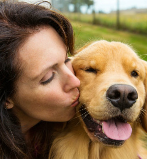 how to tell if a puppy is sick puppy dogs can tell and help when owners are sick how to tell if a puppy is sick puppy dogs can tell and help when owners are sick