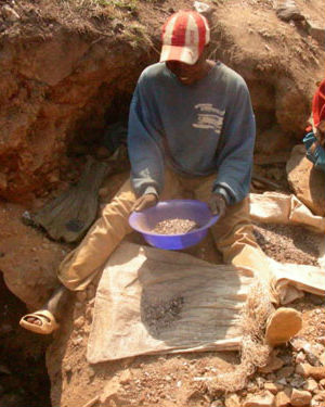 Illegal Exploitation Of Natural Resources In Africa Illegal Exploitation Of Natural Resources In Africa
