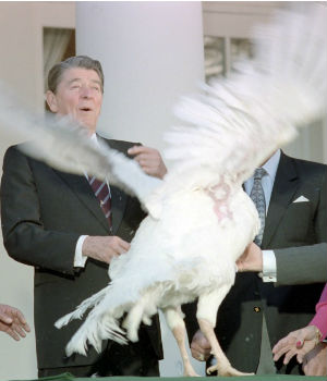 [Image: 2015110001reagan.jpg]