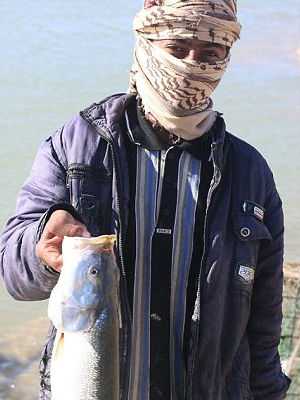Pictures depict ISIS members posing by the water's edge with freshly caught fish, holding up their catch of the day.
