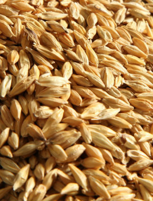 Low-carb is so last year! This year incorporate more grains like barley!