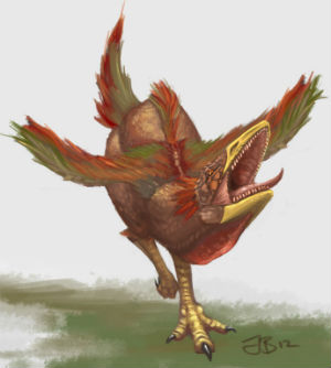 dinosaur to chicken evolution