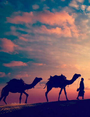 We DON'T know it all! Discovery proves Silk Road reached farther than believed