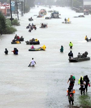 At least 60 people were killed and more than 30,000 displaced from Hurricane Harvey. At least 60 people were killed and more than 30,000 displaced from Hurricane Harvey.