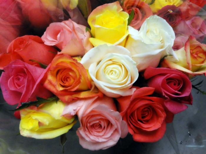Roses signify love -and each color means something different.