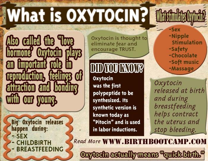 What is oxytocin? What is oxytocin?