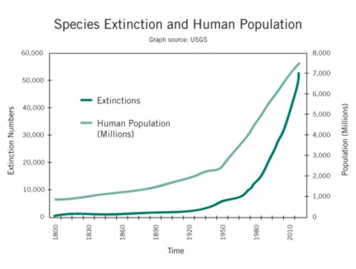 Correlation between human population and extinction, although this is misleading. The real correlati Correlation between human population and extinction, although this is misleading. The real correlati