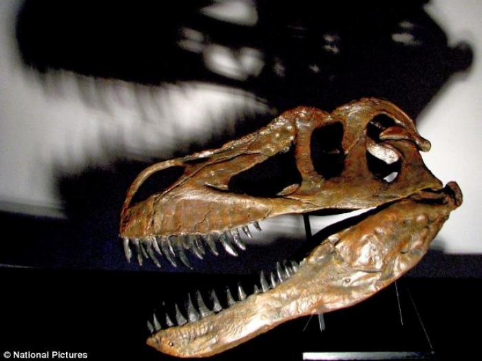 The enormous creature, named Torvosaurus gurney, was discovered in Lisbon, Portugal. It was more tha The enormous creature, named Torvosaurus gurney, was discovered in Lisbon, Portugal. It was more tha