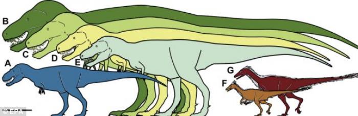 An illustration provided by the Perot Museum of Nature and Science shows the size comparison of the An illustration provided by the Perot Museum of Nature and Science shows the size comparison of the