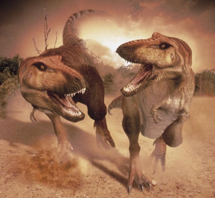 Scientists concluded that the smaller relative of the Tyrannorsaurys Rex, pictured, the Nanuqsaurus Scientists concluded that the smaller relative of the Tyrannorsaurys Rex, pictured, the Nanuqsaurus