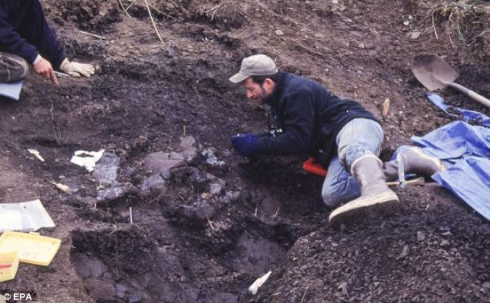 Earth Sciences Curator Tony Fiorillo of the Perot Museum of Nature and Science excavates a site cont Earth Sciences Curator Tony Fiorillo of the Perot Museum of Nature and Science excavates a site cont