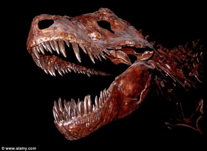 The Nanuqsaurus hoglundi The Nanuqsaurus hoglundi