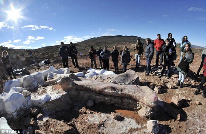 According to paleontologists from the renowned Egidio Feruglio Museum, Jose Luis Carballido and Rub According to paleontologists from the renowned Egidio Feruglio Museum, Jose Luis Carballido and Rub
