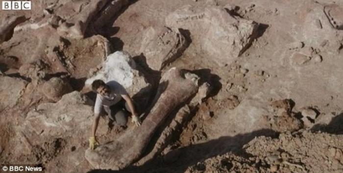 The fossilized bones of the biggest dinosaur ever discovered have been found in Argentina. The fossilized bones of the biggest dinosaur ever discovered have been found in Argentina.