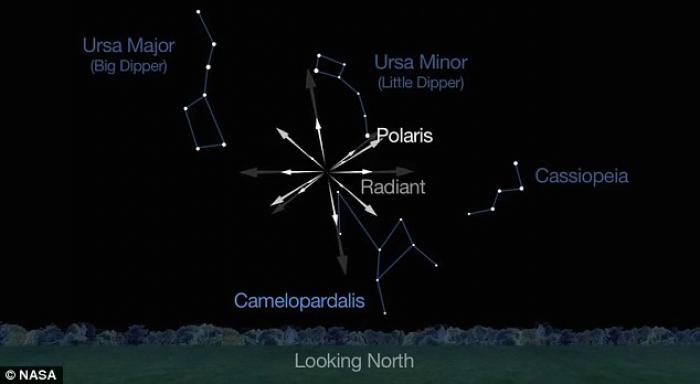 The radiant, or place where the shower will appear to emanate, is high in the northern sky. The radiant, or place where the shower will appear to emanate, is high in the northern sky.