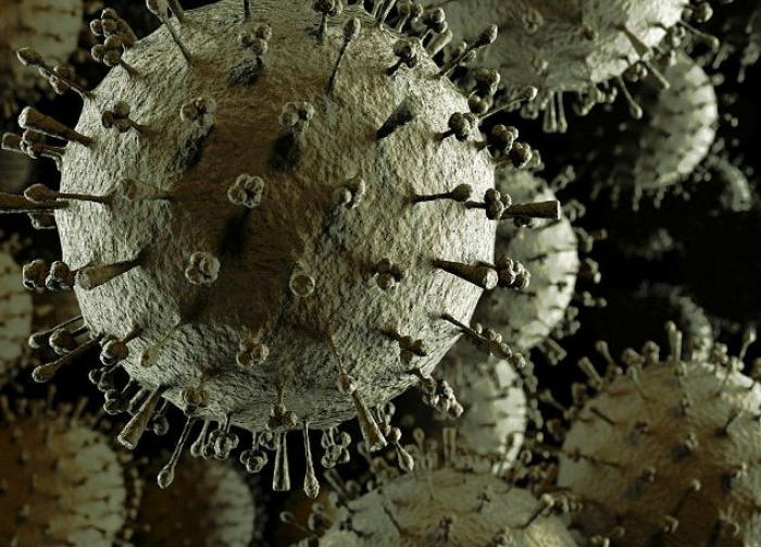 Kawaoka, 58, has insisted that the people handling the lethal virus are experienced scientists, and Kawaoka, 58, has insisted that the people handling the lethal virus are experienced scientists, and